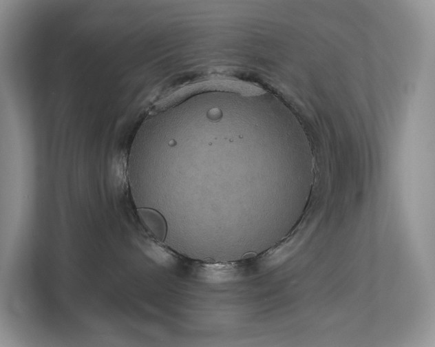 X0000112910240200908241212