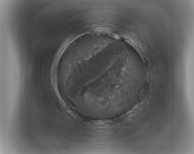 X0000112910241200908241211