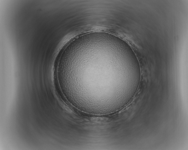 X0000112910242200908241211