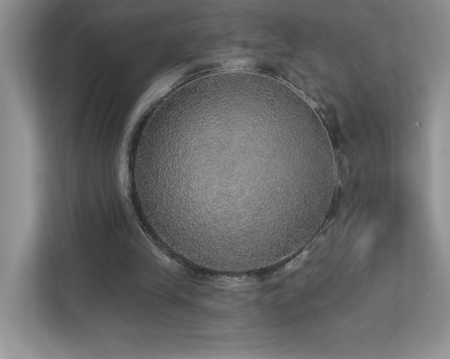 X0000112910245200908241212