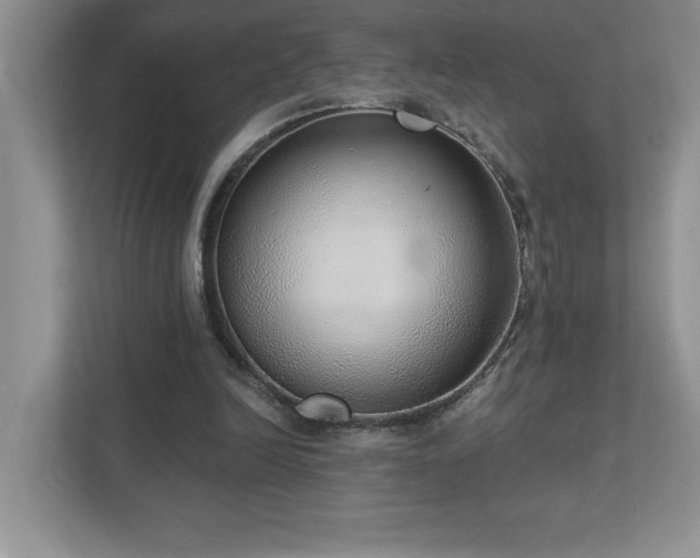 X0000112910246200908241212