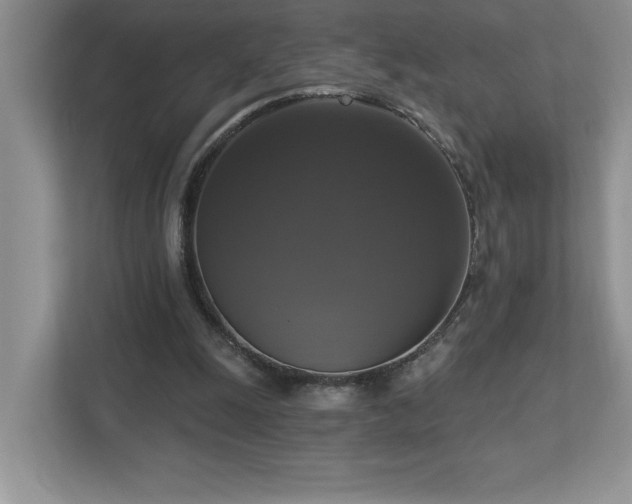 X0000112910247200908241212