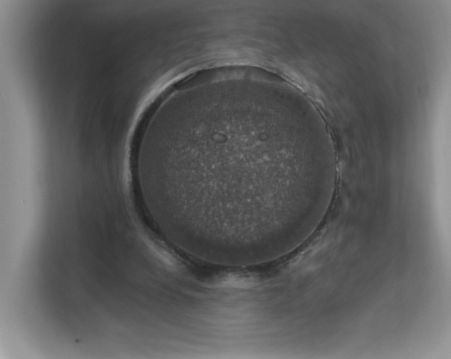 X0000112910248200908241212