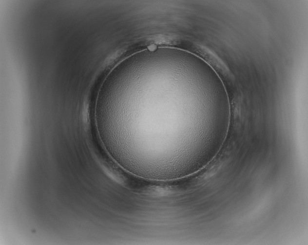 X0000112910250200908241212