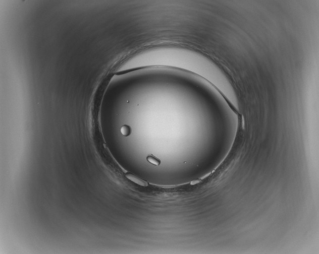 X0000112910252200908241212