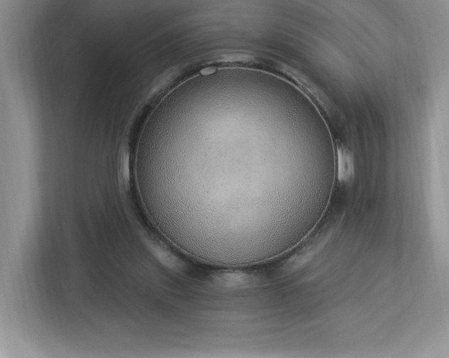 X0000112910253200908241212