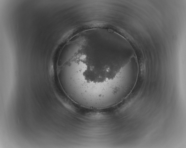 X0000112910254200908241212