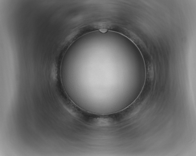 X0000112910255200908241212