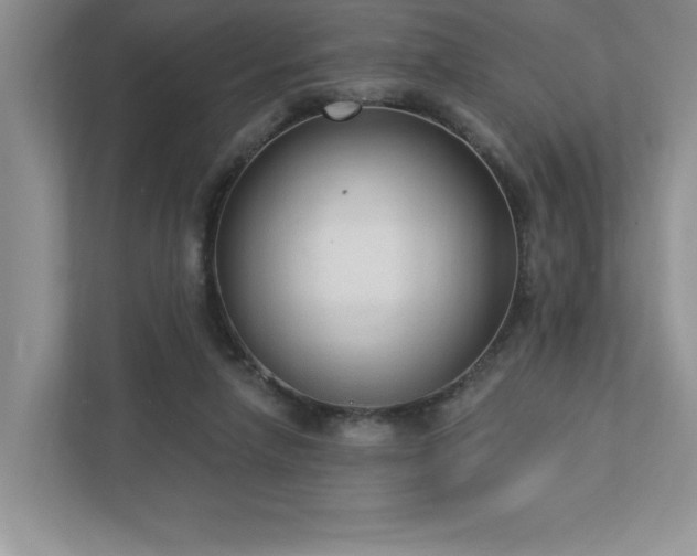 X0000112910258200908241212