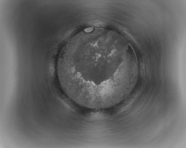 X0000112910259200908241212