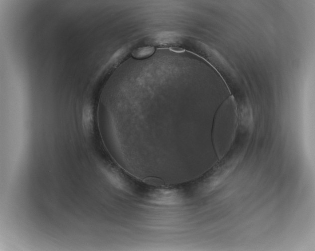 X0000112910260200908241212