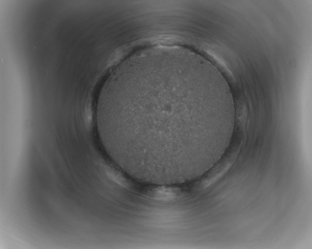 X0000112910261200908241212