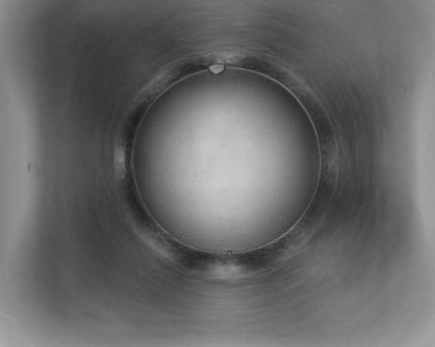 X0000112910262200908241212