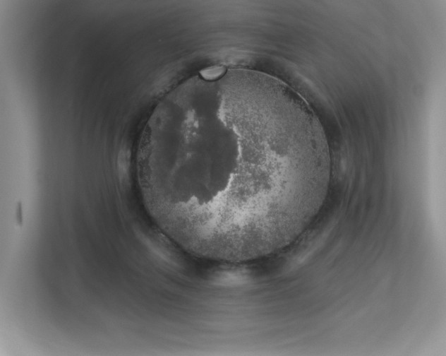 X0000112910263200908241212