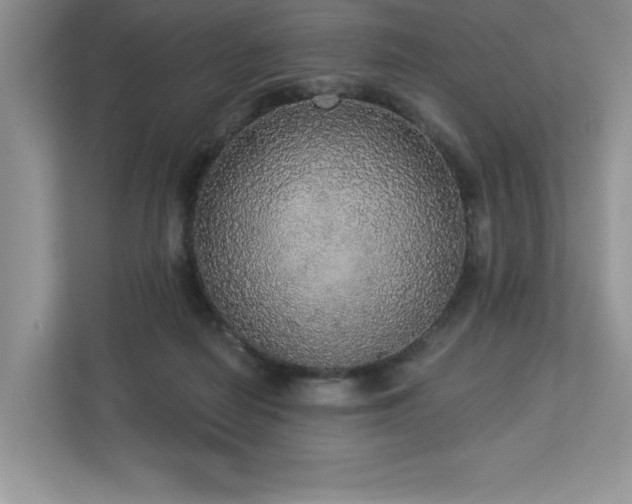 X0000112910266200908241212