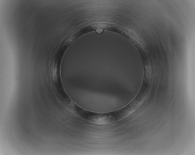 X0000112910267200908241212