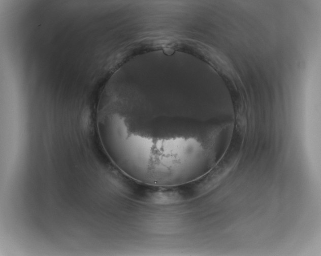 X0000112910270200908241212