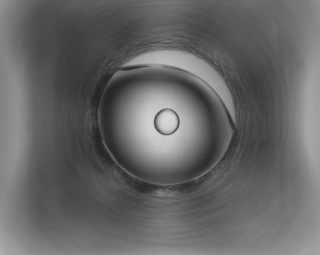 X0000112910272200908241212