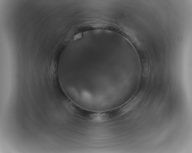 X0000112910273200908241212