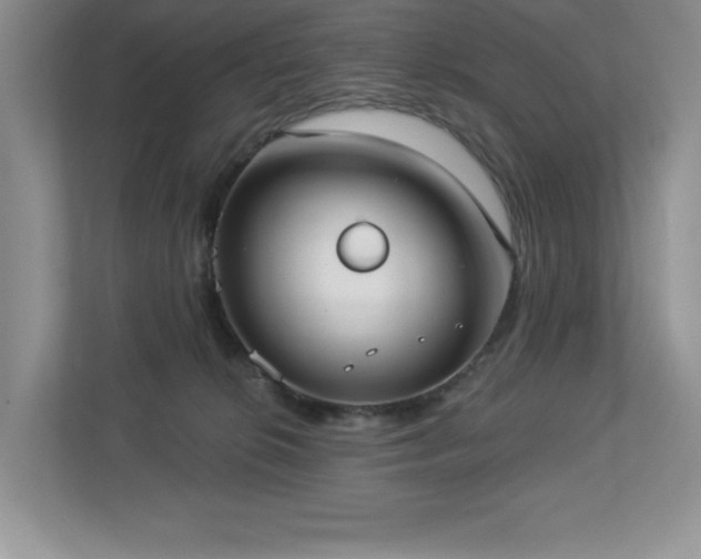 X0000112910276200908241212