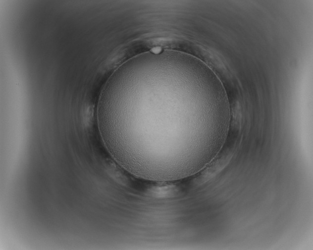 X0000112910278200908241212