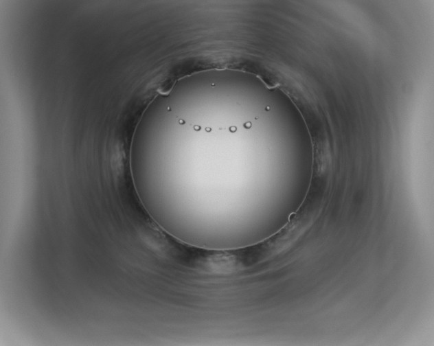 X0000112910279200908241212