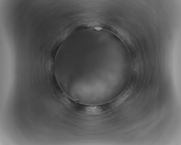 X0000112910281200908241212