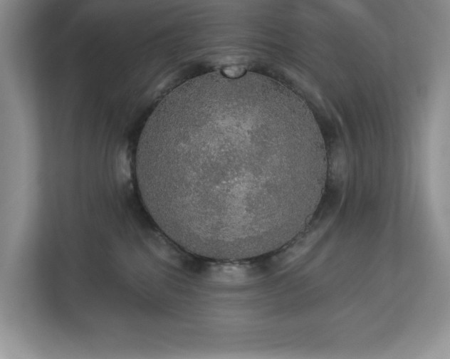 X0000112910282200908241212