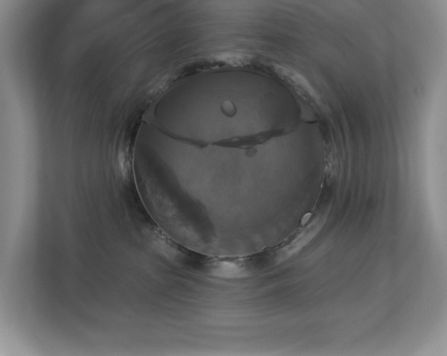 X0000112910285200908241212