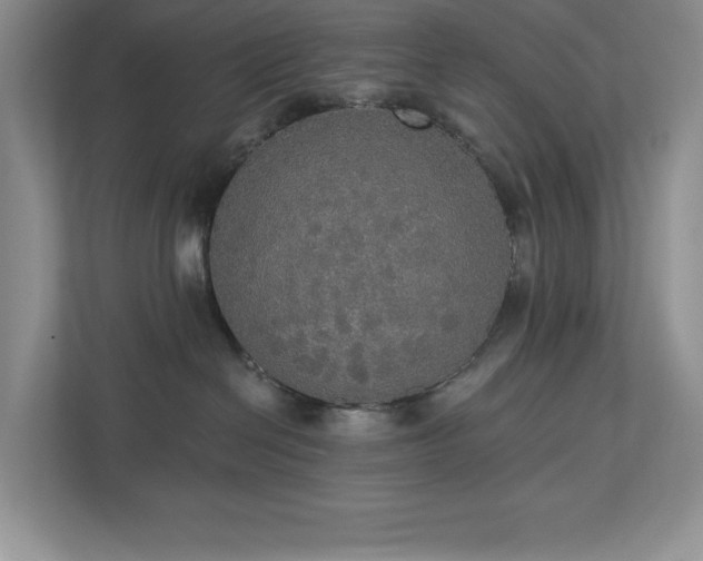 X0000112910286200908241212