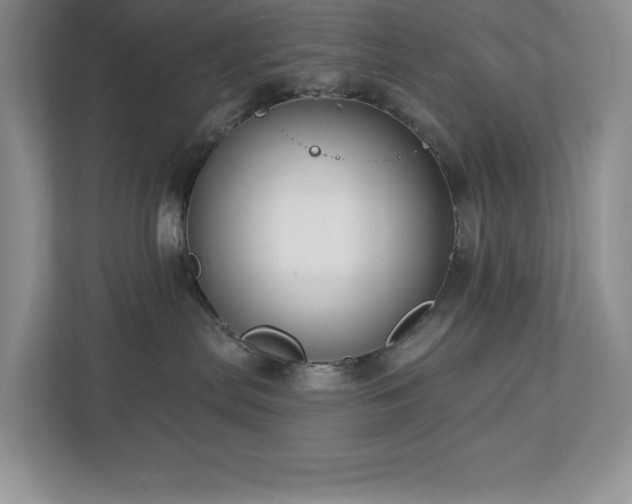 X0000112910287200908241212