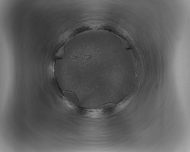 X0000112910288200908241212