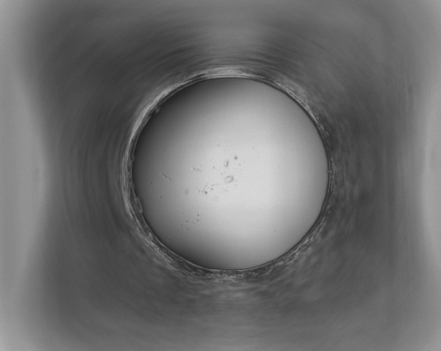 X0000112910289200908241211