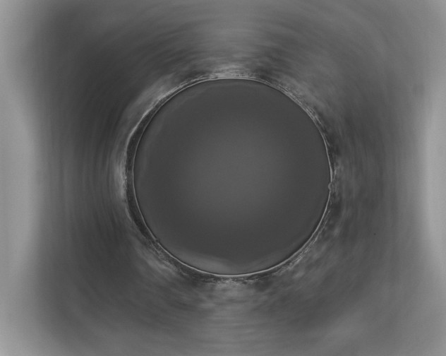 X0000112910290200908241211