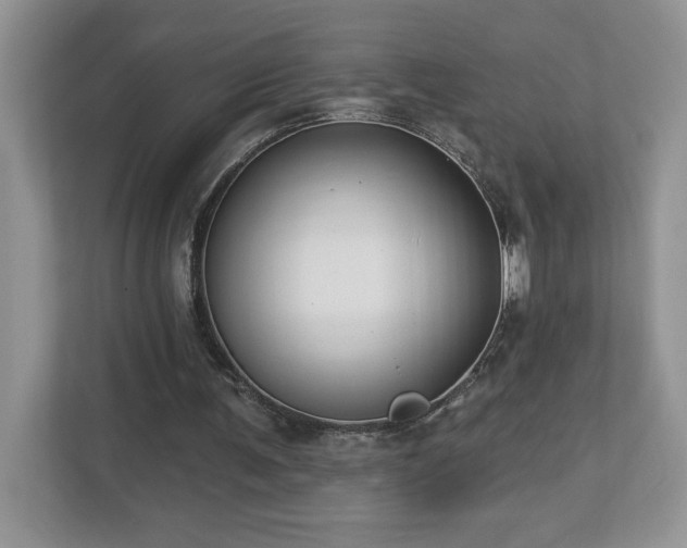 X0000112910291200908241211