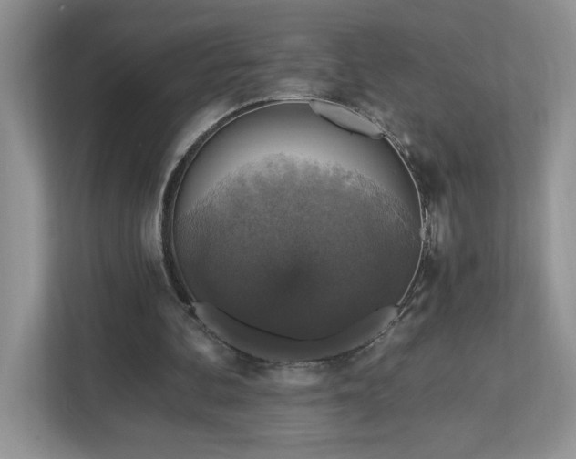 X0000112910292200908241211