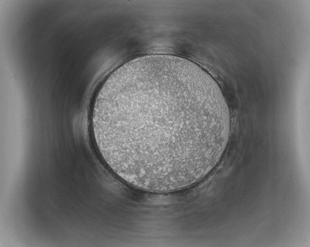 X0000112910293200908241211