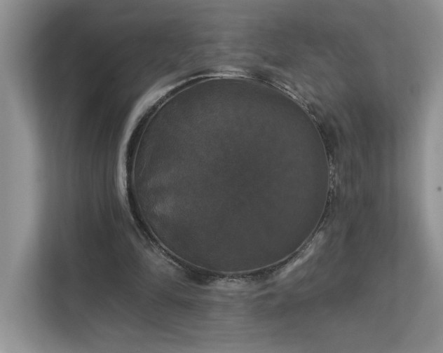 X0000112910294200908241211