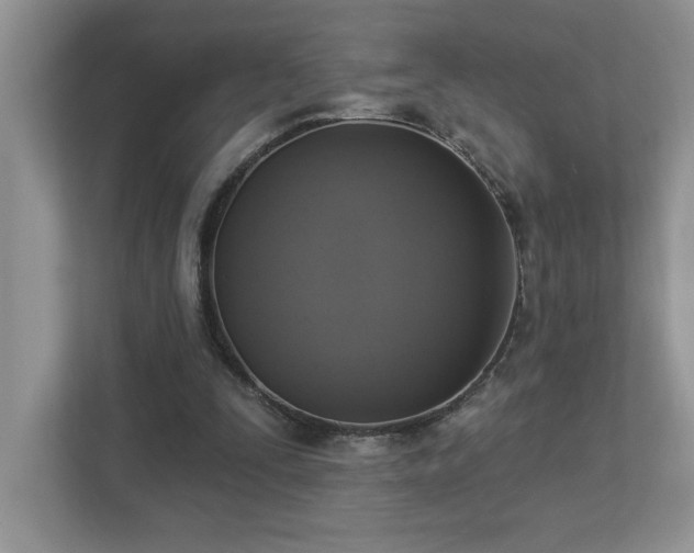 X0000112910295200908241211