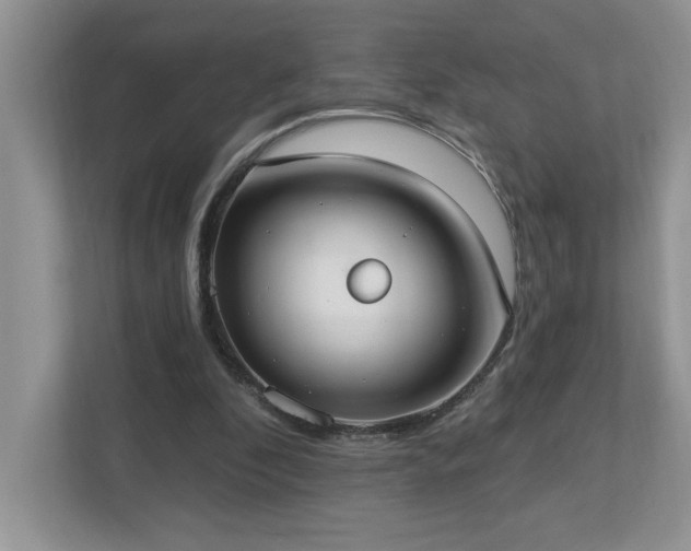 X0000112910296200908241211