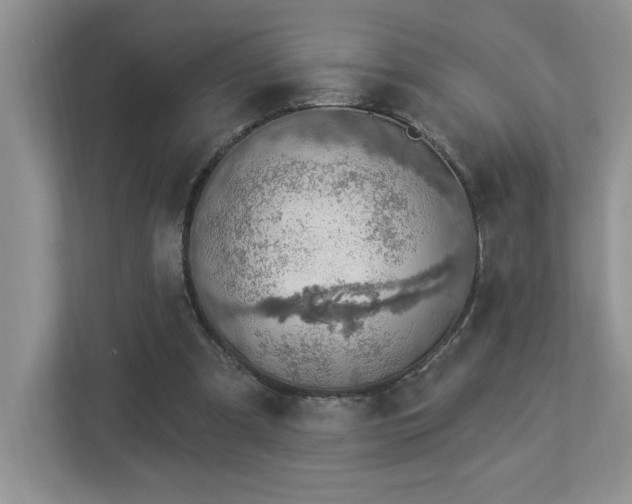 X0000112910297200908241211