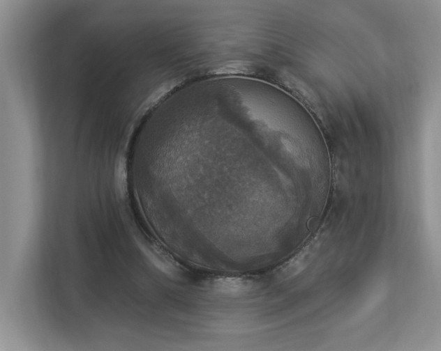 X0000112910298200908241211