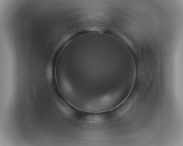 X0000112910299200908241211