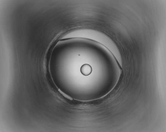 X0000112910300200908241211