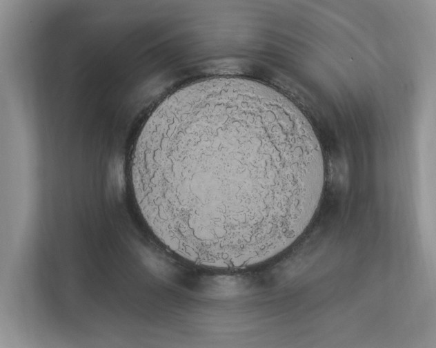 X0000112910302200908241211