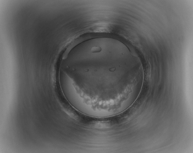 X0000112910303200908241211