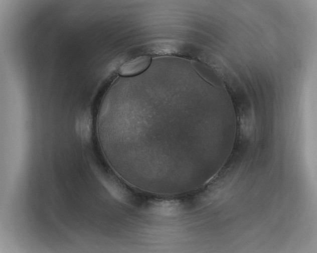 X0000112910304200908241211