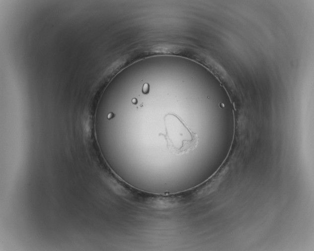 X0000112910305200908241211