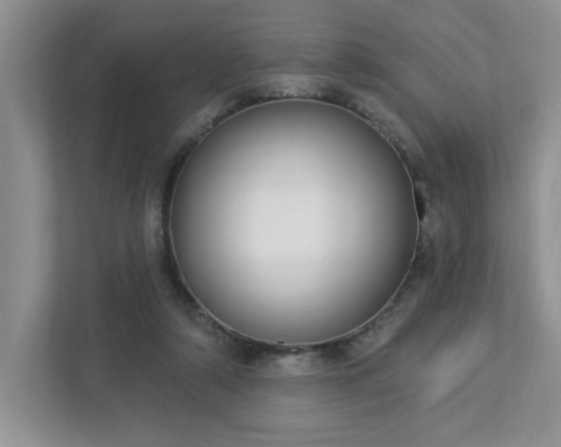 X0000112910306200908241211