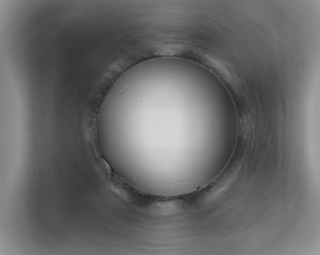 X0000112910307200908241211